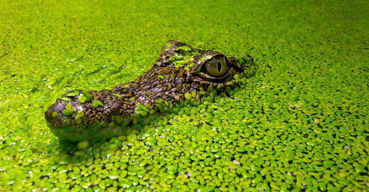 Disgusting But Interesting Facts