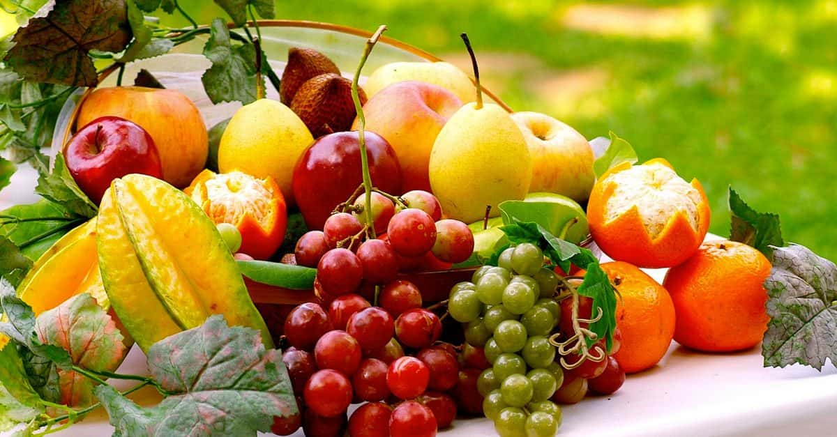 Juicy Facts About Fruit
