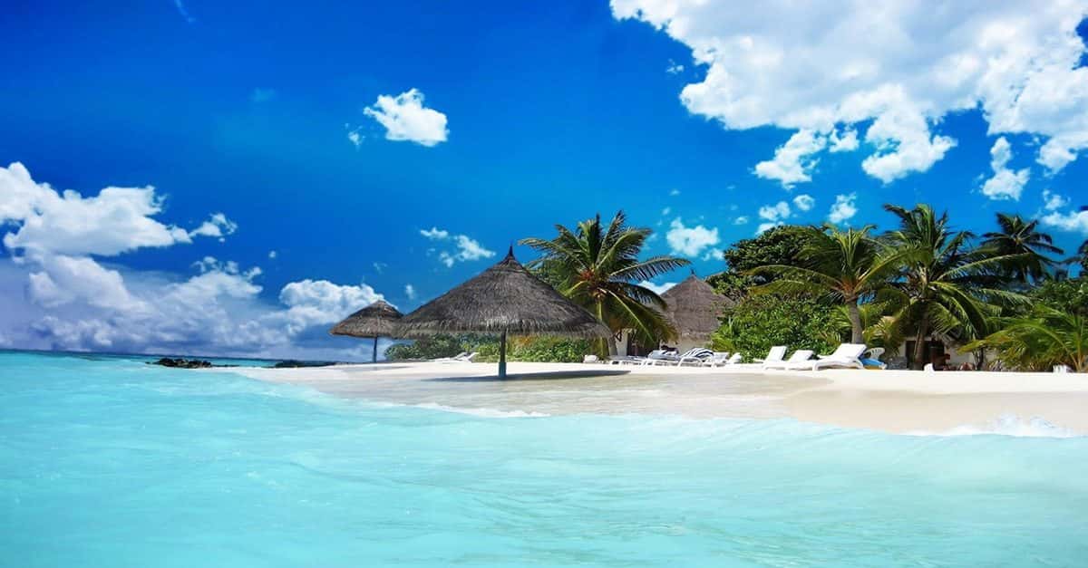 Cool Facts About Jamaica