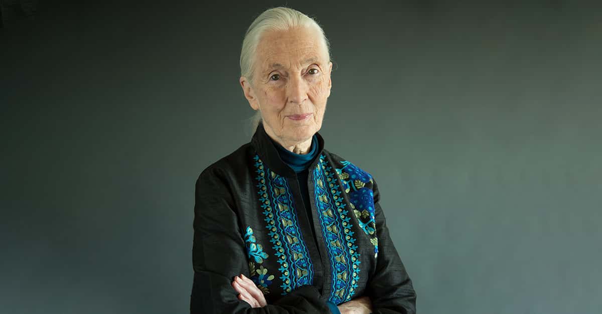 Groundbreaking Facts about Female Scientists