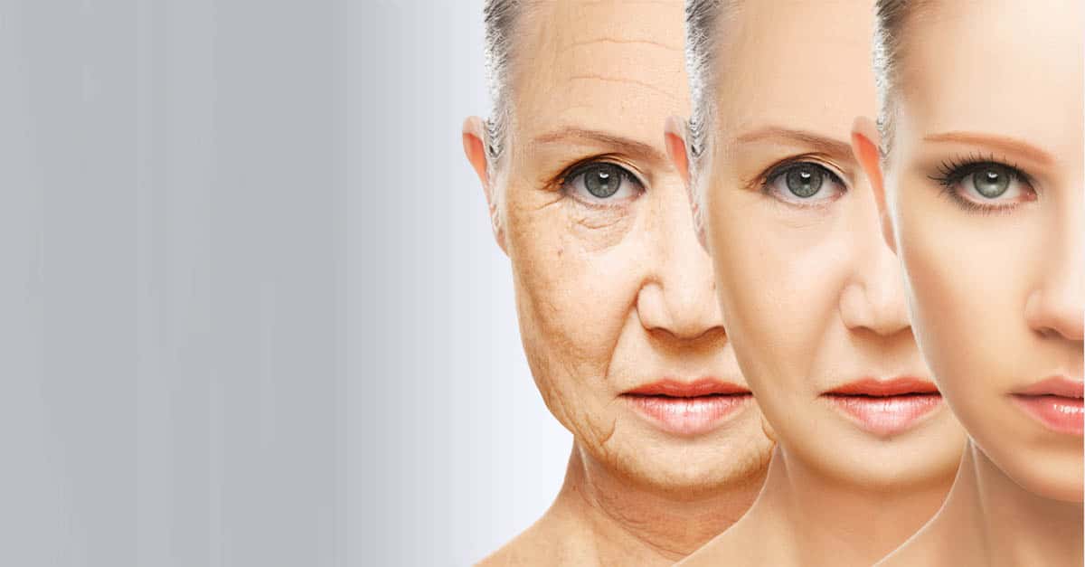 Wise Facts About Aging