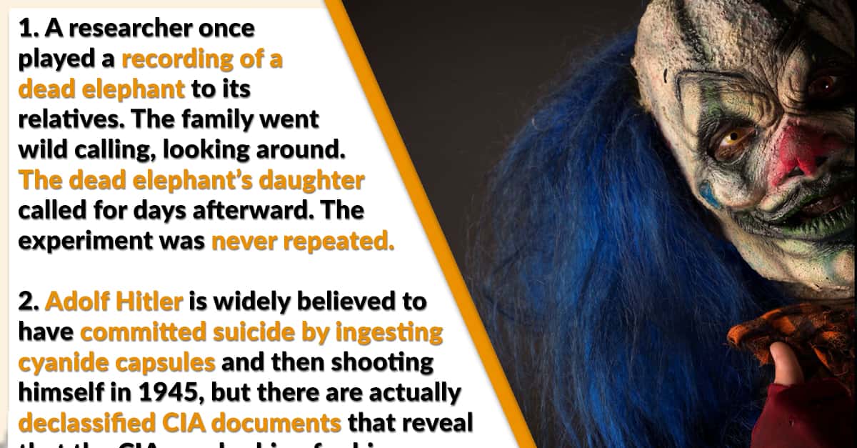Bone-Chilling Facts That You Can't Unlearn