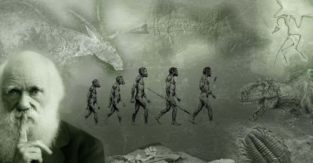 Adaptive Facts About Evolution