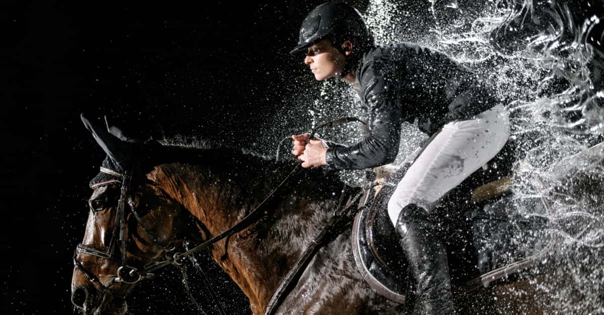 Little-Known Facts About Horse Racing