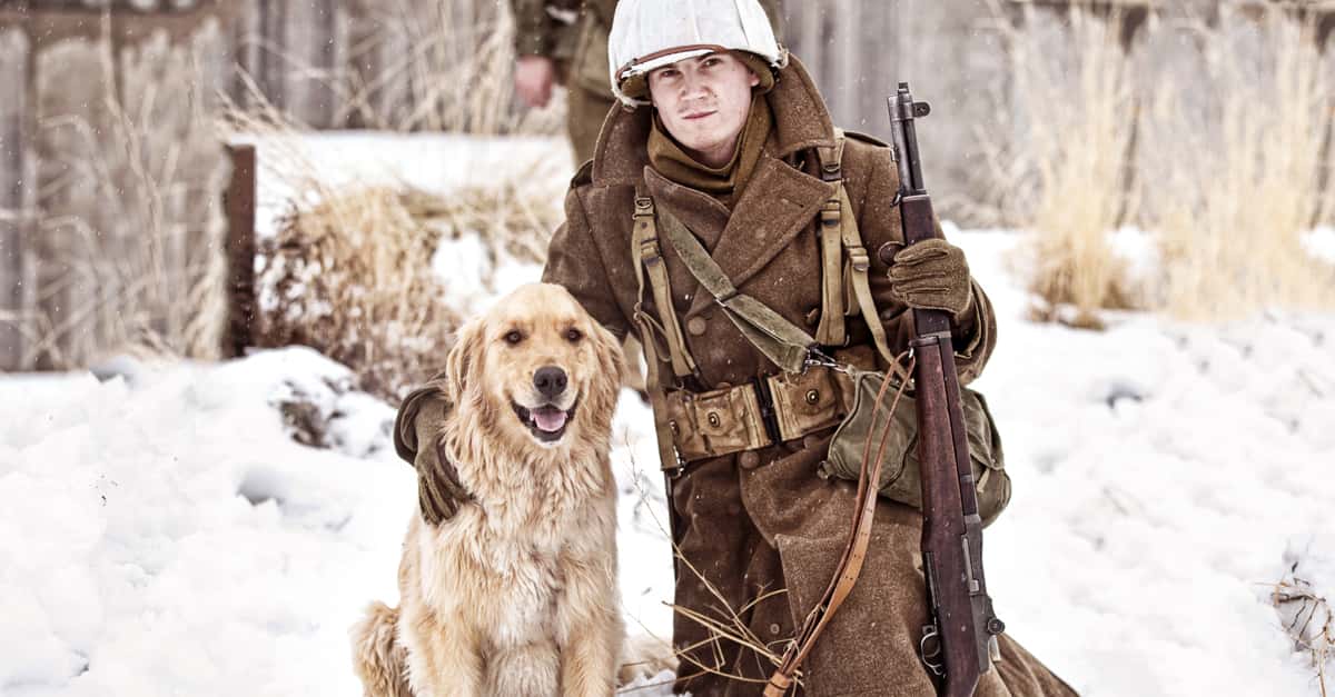 Eye-Opening Facts About Animals In Battle