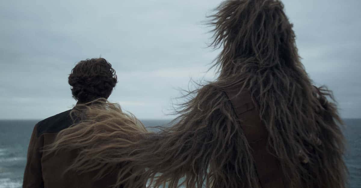 Cuddly Facts About Chewbacca