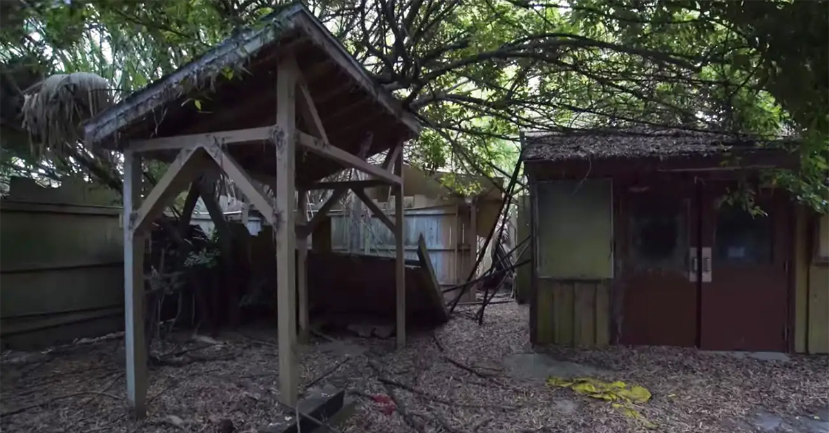 Discovery Island: Disney World’s Lost Enclave