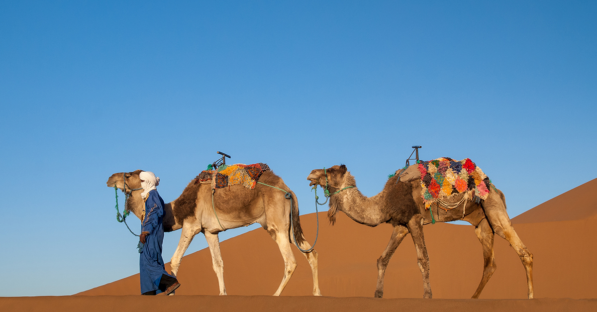 The Tuareg People