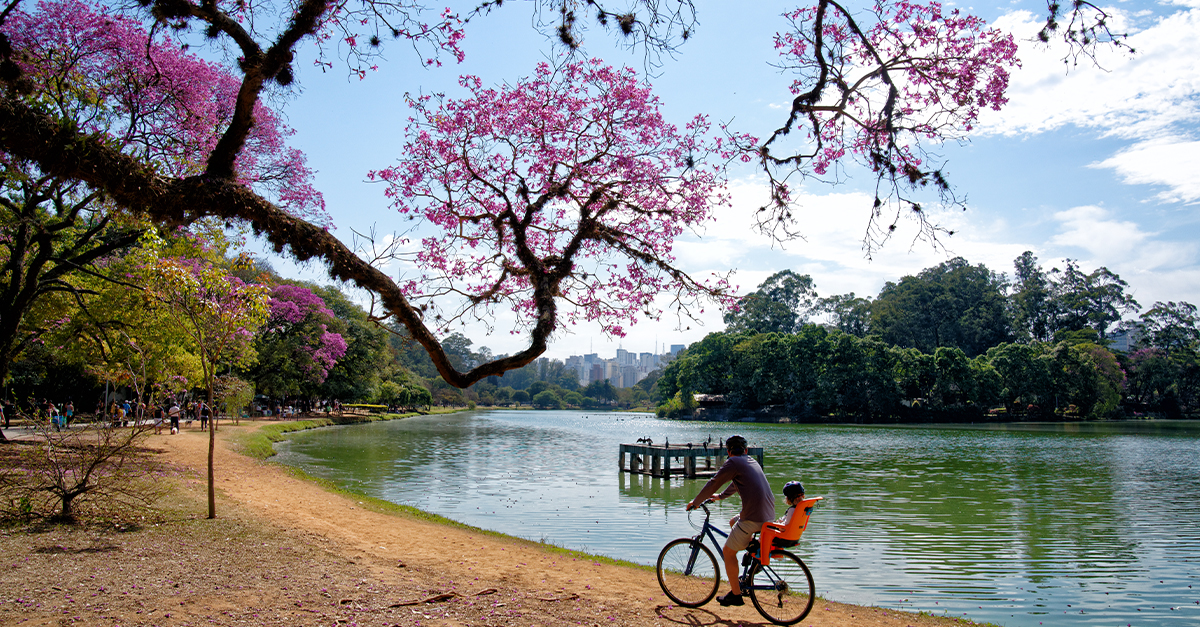 Ibirapuera Park