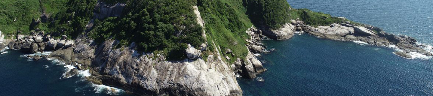 Snake Island: A Venomous Paradise