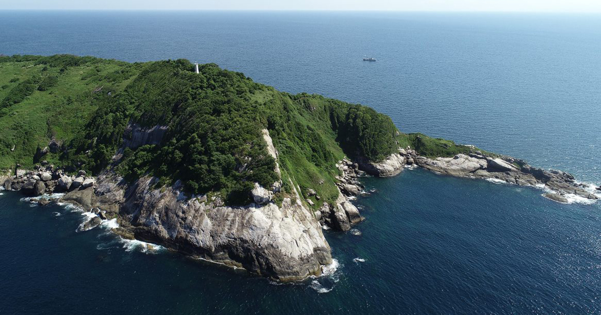 Snake Island: A Venomous Paradise