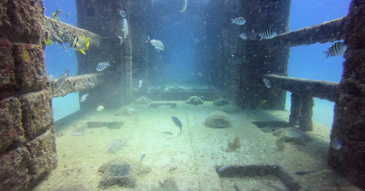 The Neptune Memorial Reef