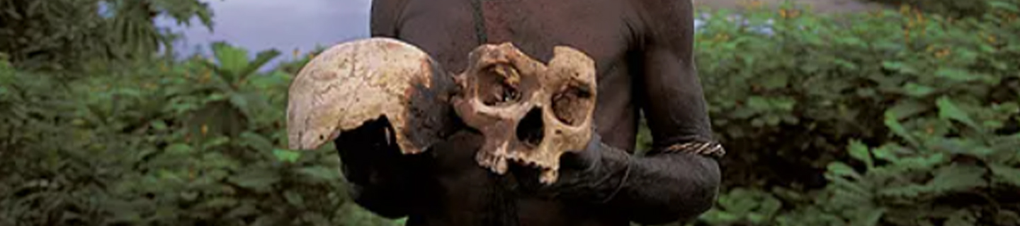 The Korowai Tribe