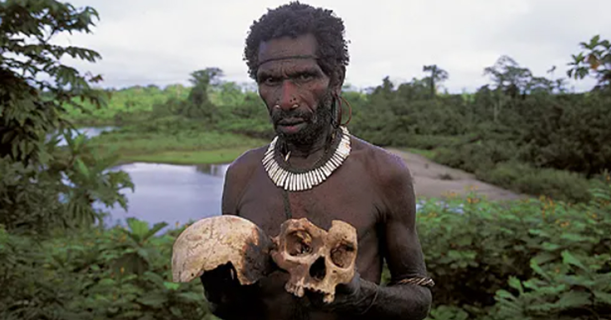 The Korowai Tribe