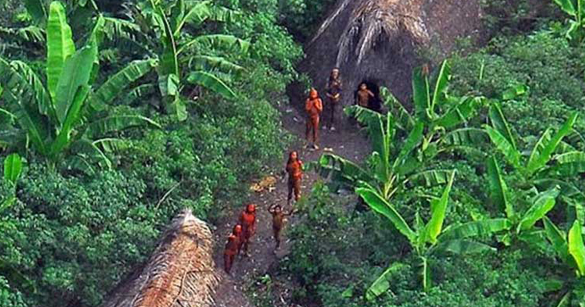 The Kawahiva: The Uncontacted Tribe Living in the Amazon Rainforest