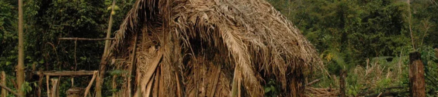 The Last Surviving Member of an Unknown Tribe in Brazil