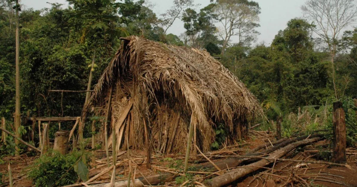 The Last Surviving Member of an Unknown Tribe in Brazil
