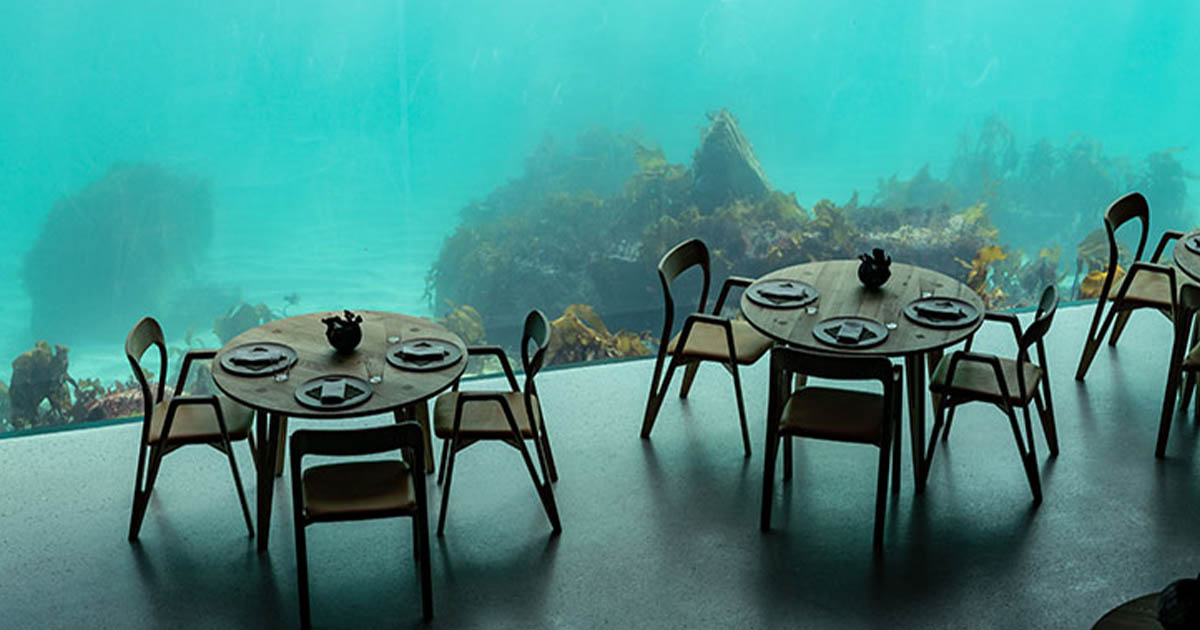 Under the Sea Dining in Norway