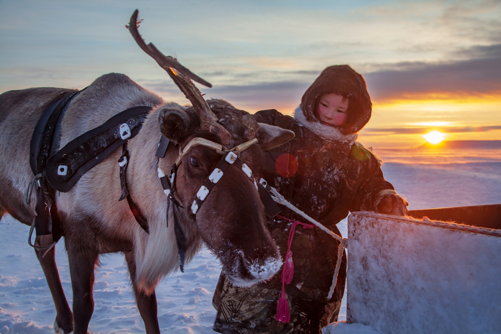 Nenets Patterns The Nenets: The Russian Arctic Tribe