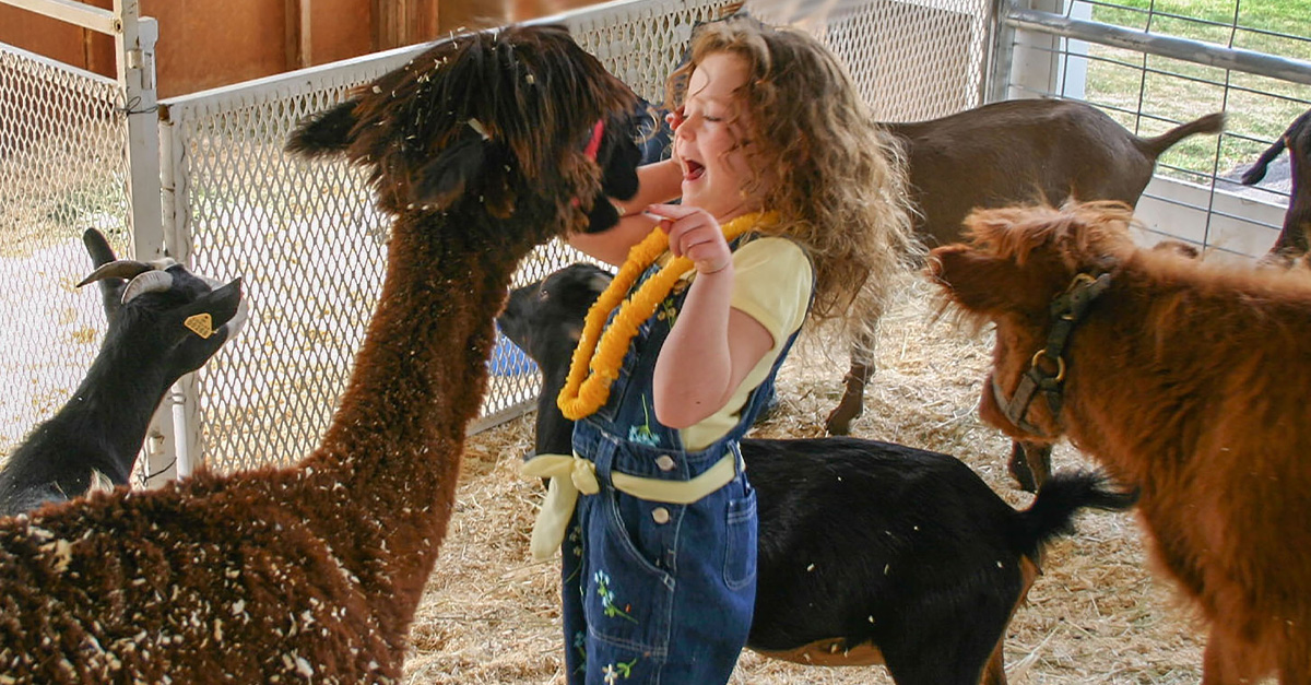 America's Best Zoos