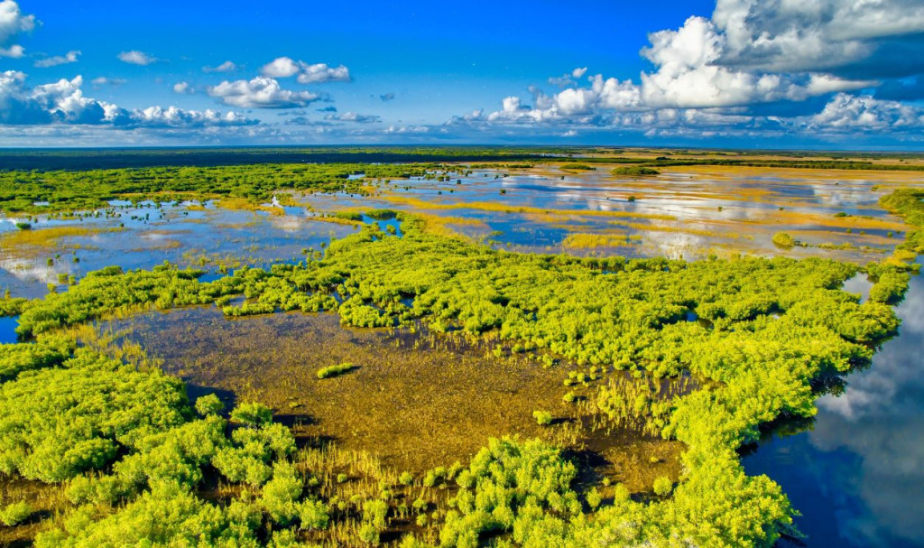 Researchers in the Everglades use technology to help hunters remove ...
