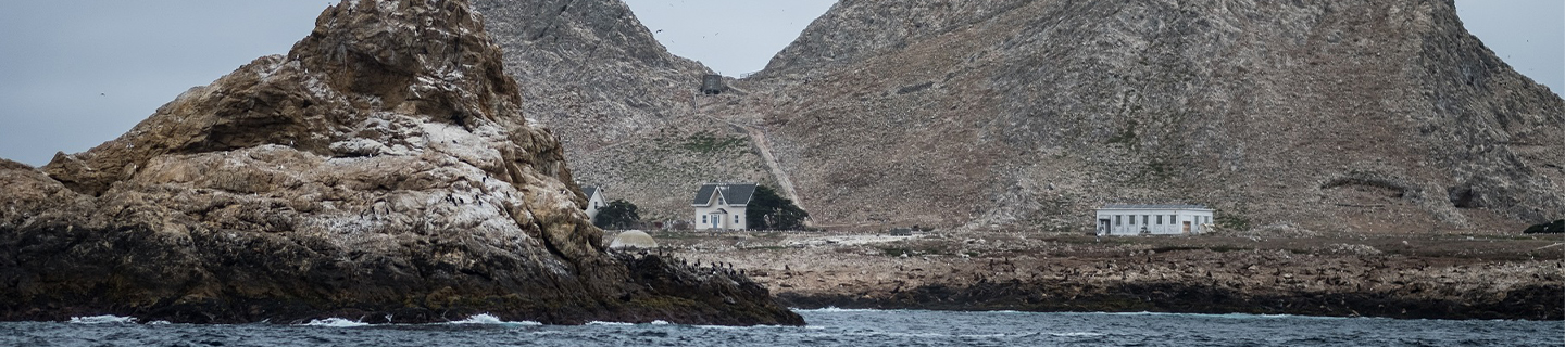 The Farallon Islands