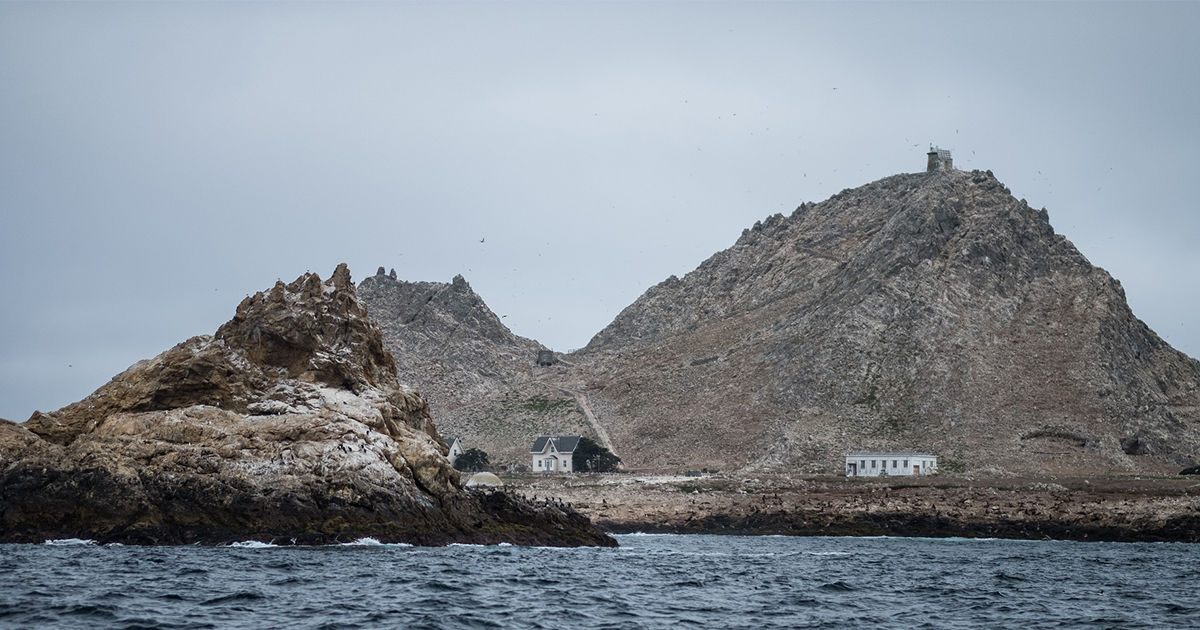The Farallon Islands