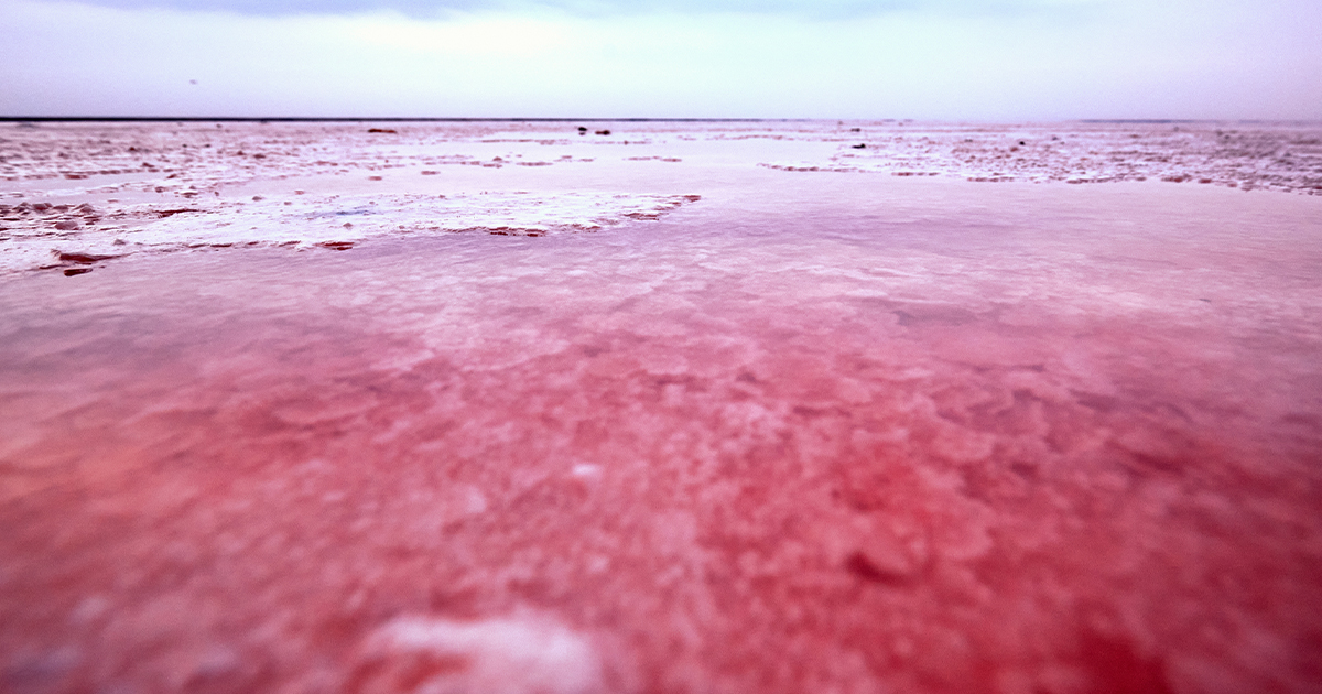 Lake Retba: Senegal's Pink Lake