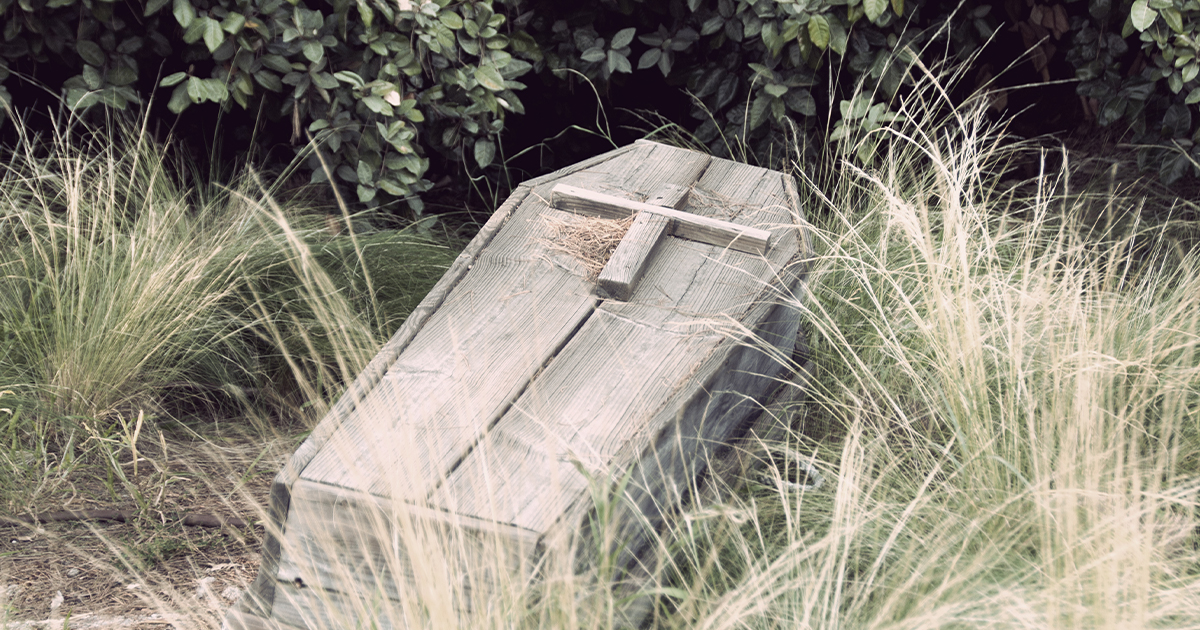 Hart Island: New York City’s Mass Graveyard