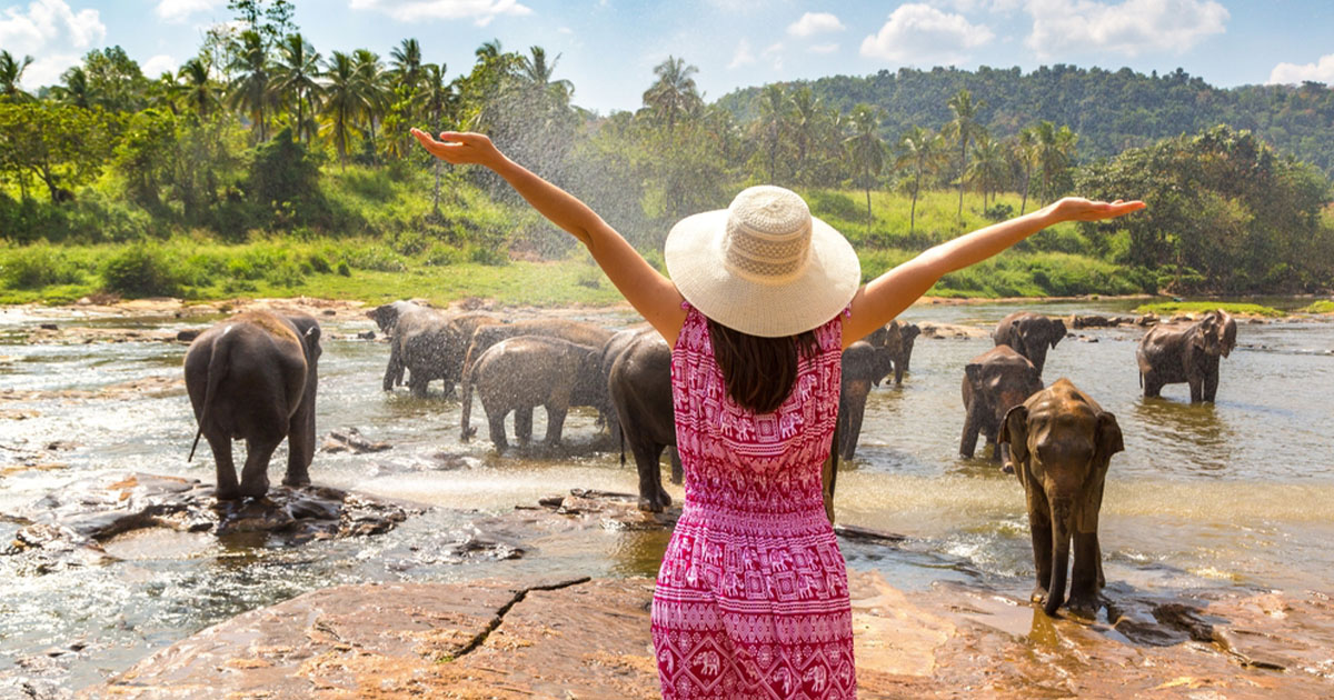 The Most Luxurious Safaris