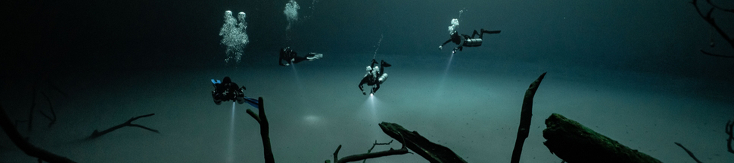Cenote Angelita: The World’s Most Unique Dive