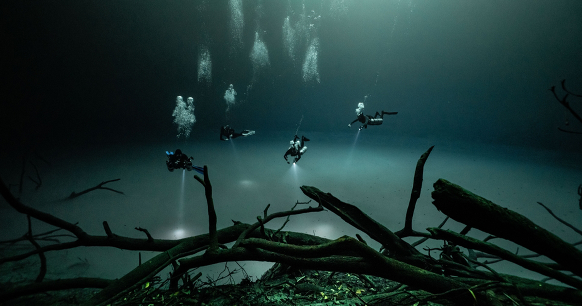 Cenote Angelita: The World’s Most Unique Dive