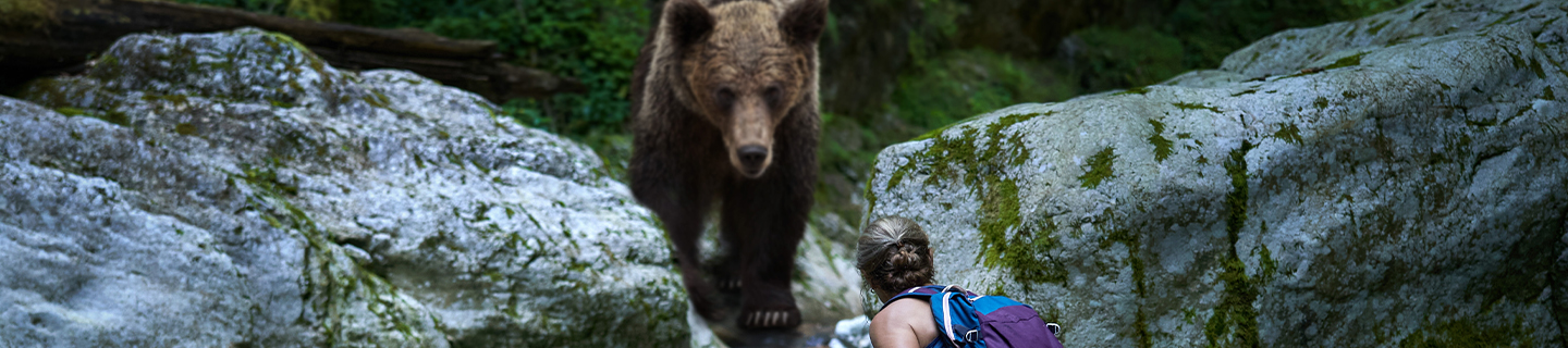 America’s Deadliest Wildlife