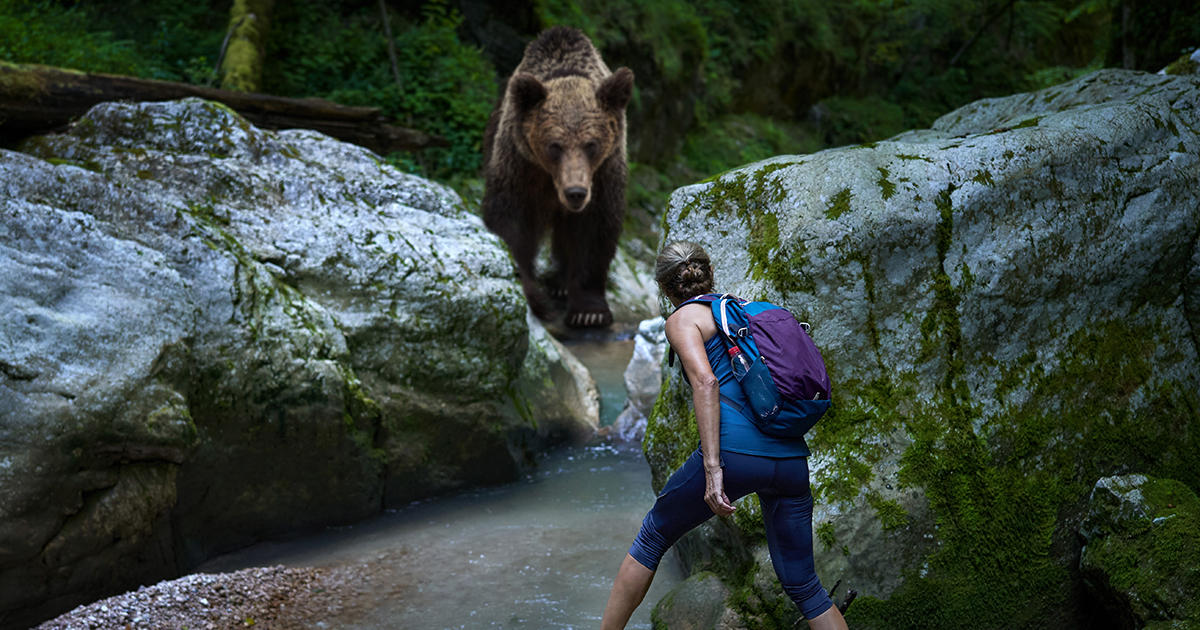America’s Deadliest Wildlife