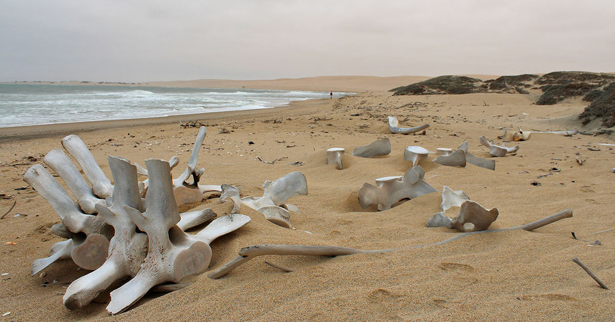 The Skeleton Coast, Namibia