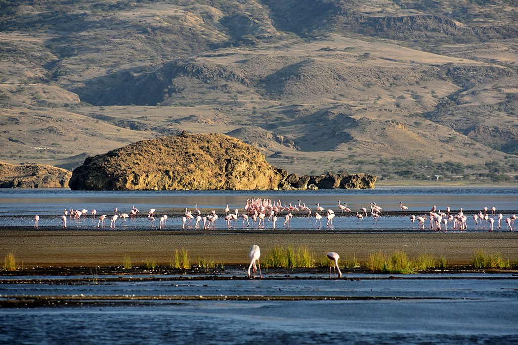 15 of the Most Unique Natural Phenomena on Earth