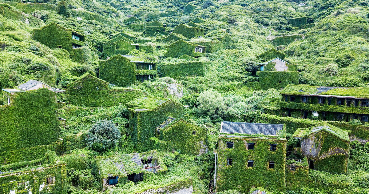 These Abandoned Places Have Been Taken Over By Plants