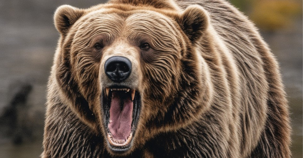 Chilling Animal Attacks From Around The World