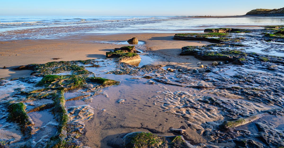 Archaeologists Uncover Lost Civilization Under Water