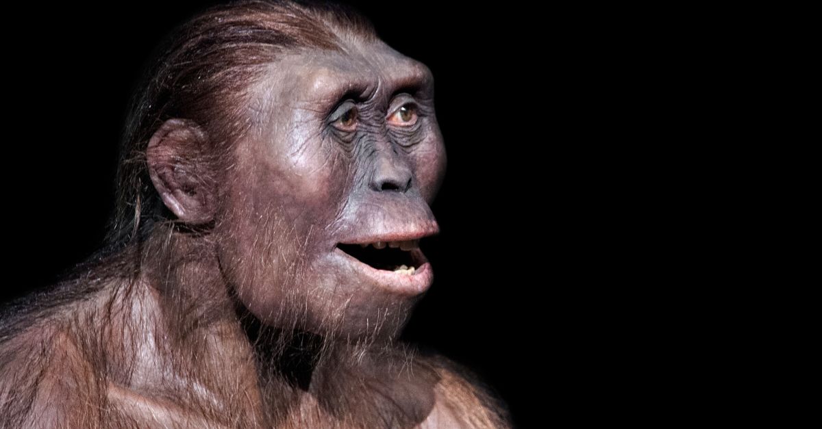 The Unlikely Rise Of Homo Sapiens: A Journey Through Time