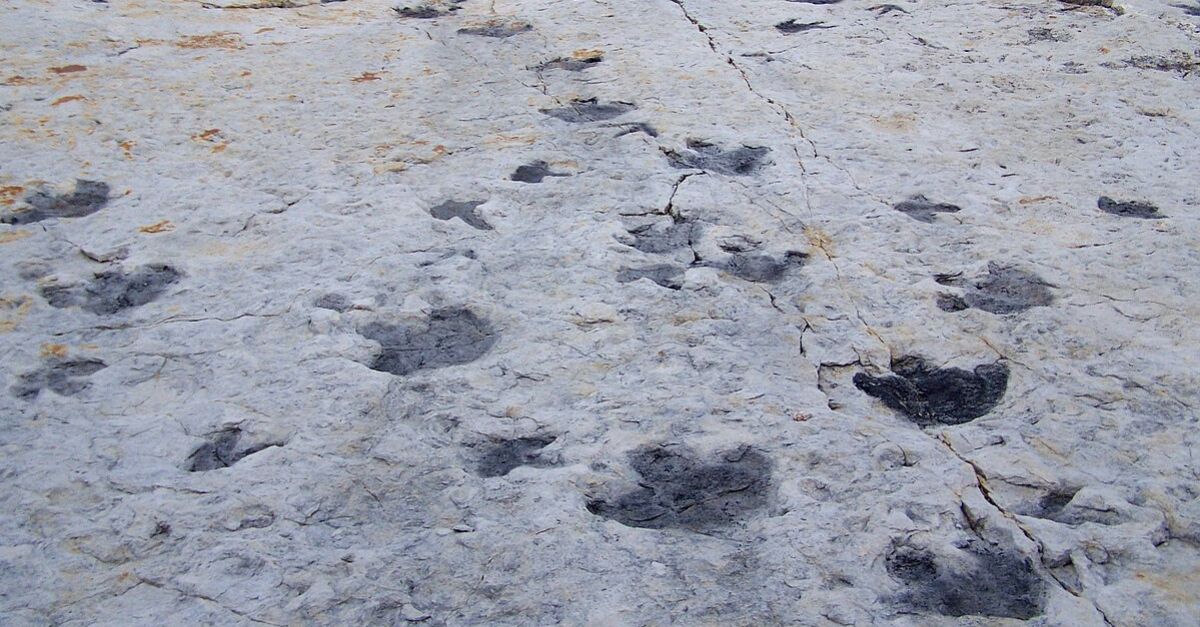 A Quarry Worker Named Gary Johnson Once Felt "Unusual Bumps" And Found A Ton Of Dinosaur Tracks