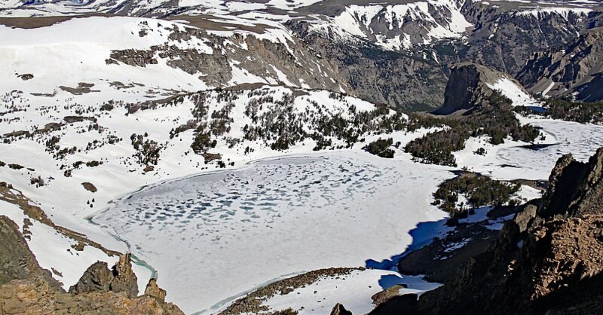 Melting Ice In Wyoming Exposed A 5,900-Year-Old Forest Lost In Time