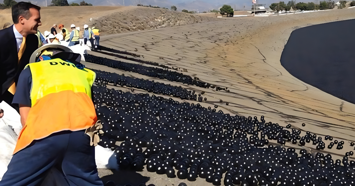 Why Is The Los Angeles Reservoir Covered With Over 95 Million Black Balls?