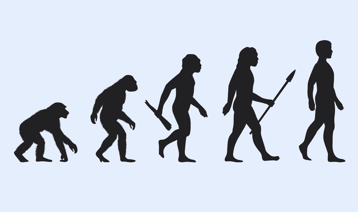Evolutionary Split The common belief that humans evolved from monkeys might not be as true ...
