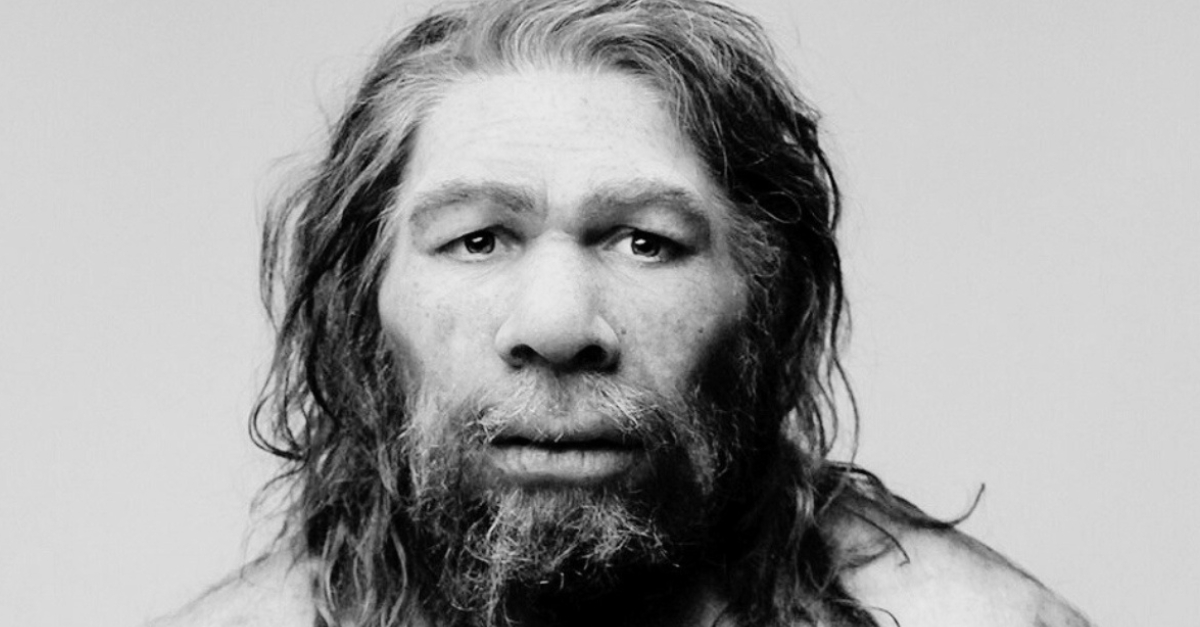 Neanderthals Fb