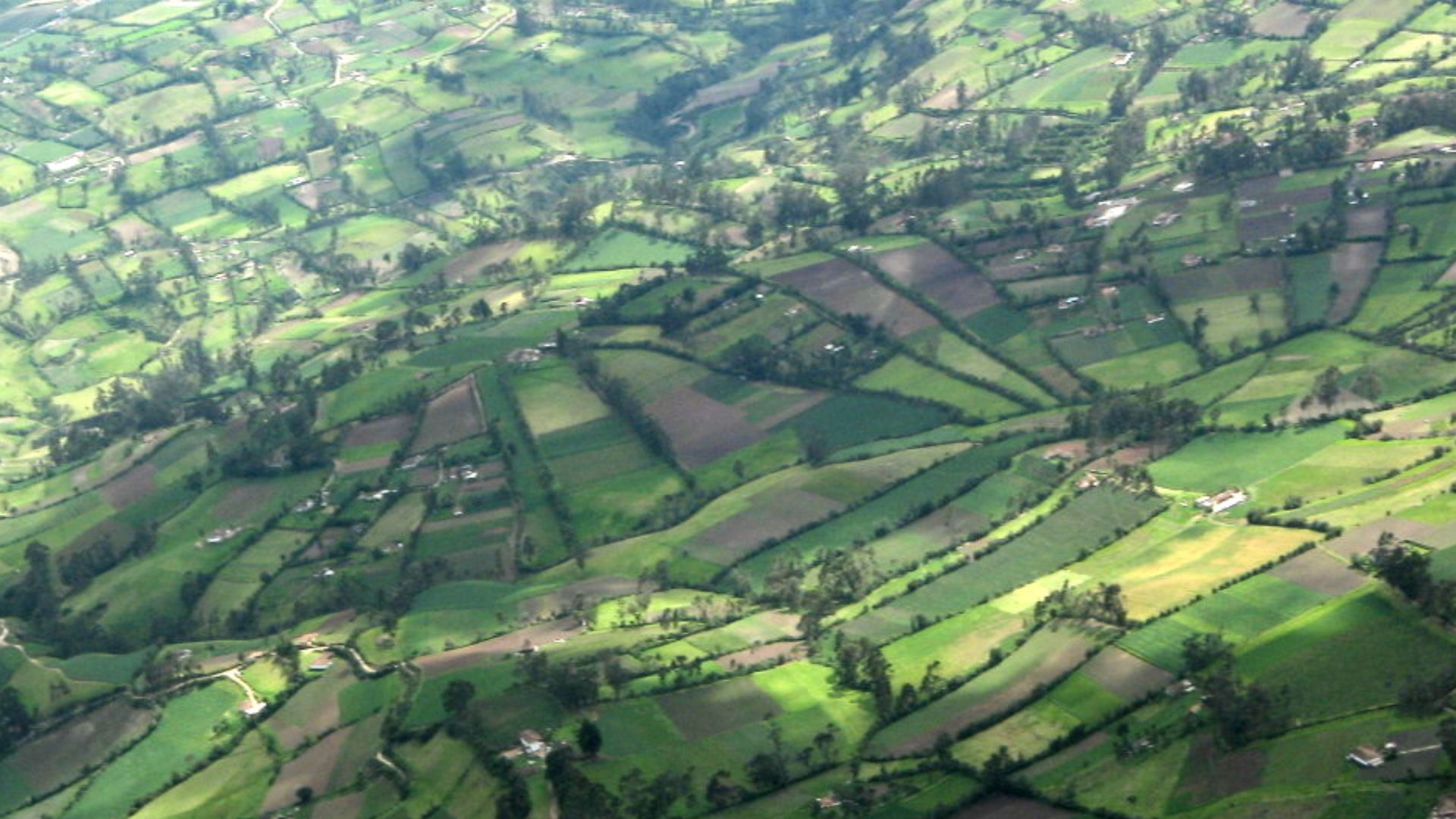 The Zenú People: Colombia’s Ancient Canal Builders