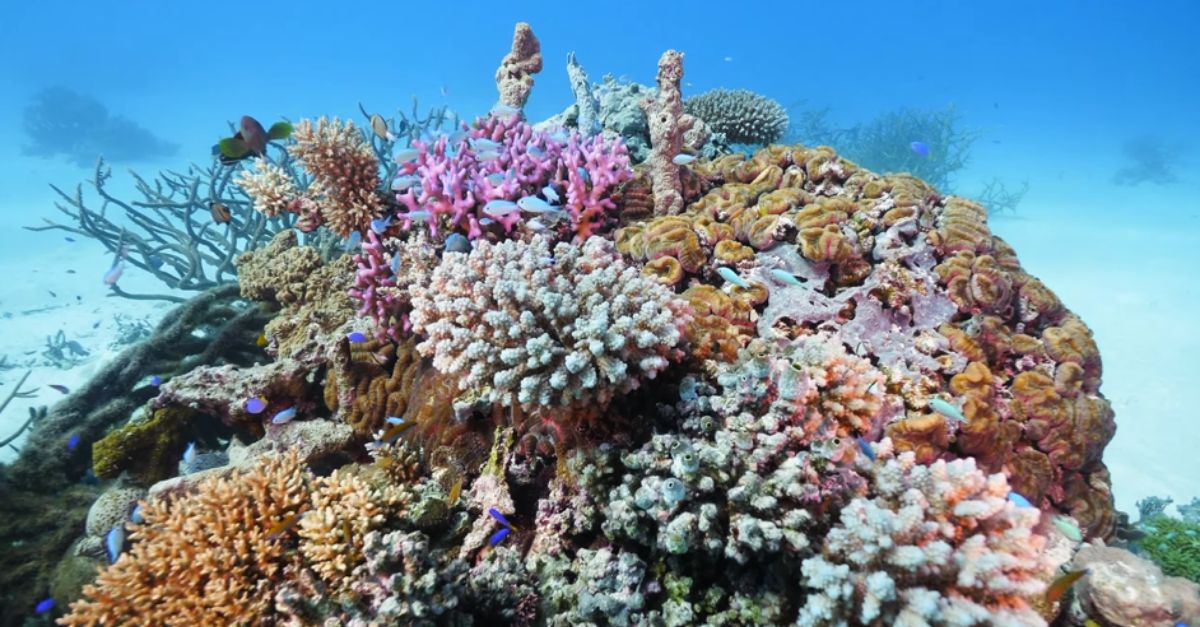 44 Breathtaking Snorkeling Spots That Belong On Your Bucket List