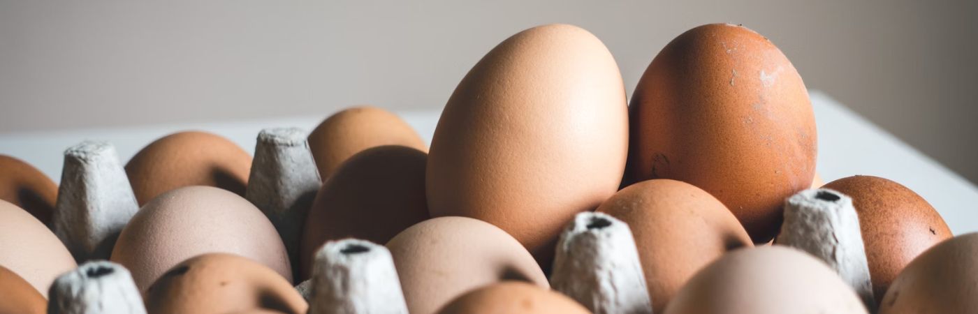 The Egg Price Crisis Explained