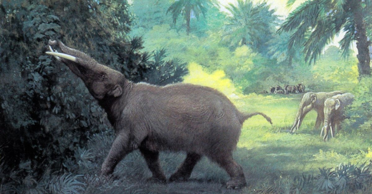 Archaeologists Say They Found Ancient Amazonian Art That May Depict Extinct And Mythological Creatures
