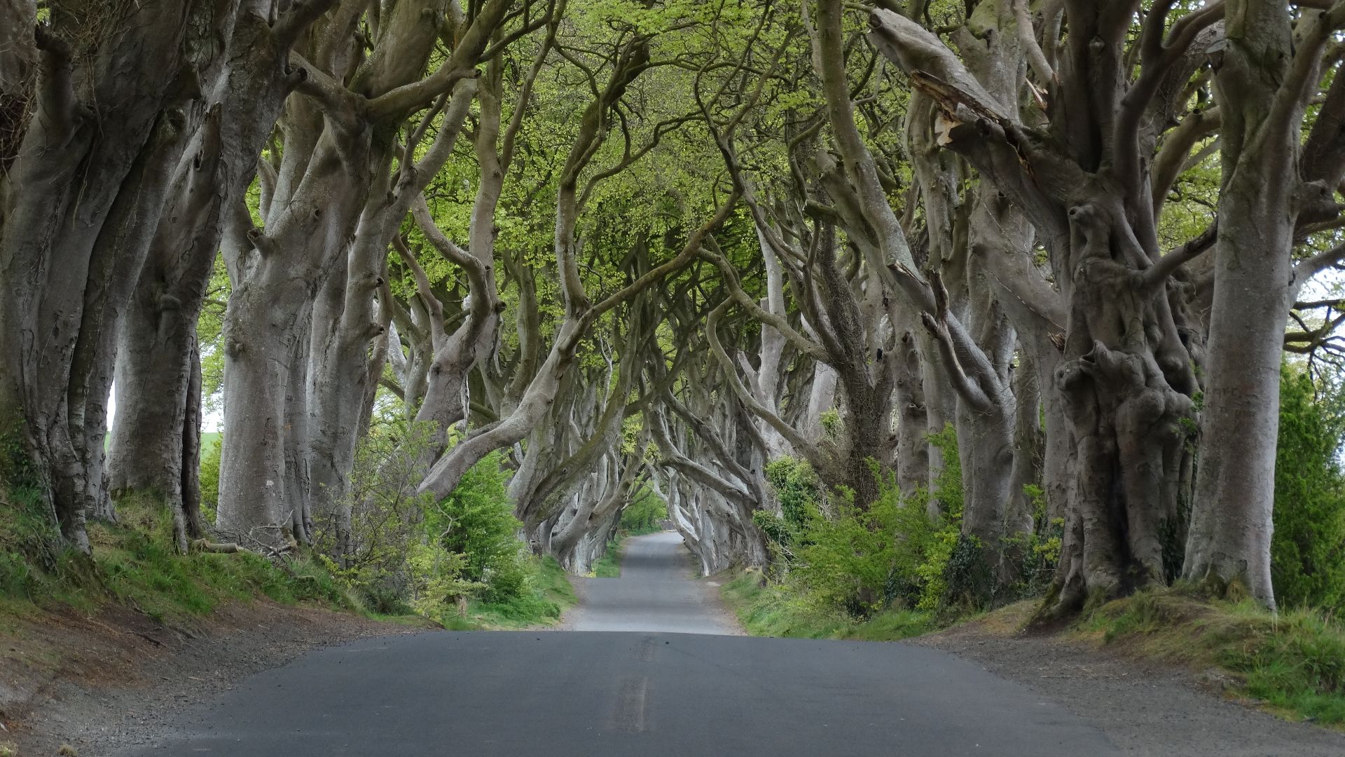 44 Real Tourist Spots From Iconic TV Shows And Movies